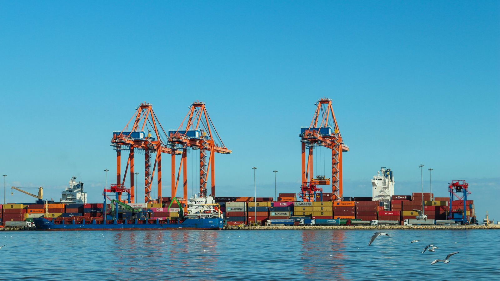 Container cranes and stacked containers at a terminal